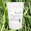  Cissus Quadrangularis 21,000mg V Capsules 