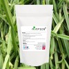  Cissus Quadrangularis 21,000mg V Capsules 
