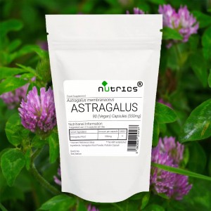 Astragalus Root 550mg V Capsules 