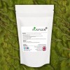 GRAVIOLA 10:1 Extract Powder Soursop Fruit