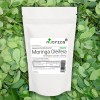 Moringa Oleifera Leaf (Organic) 500mg V Capsules