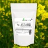 Mustard 680mg V Capsules