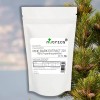 PINE BARK EXTRACT 20:1 Powder