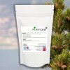 PINE BARK EXTRACT 20:1 Powder