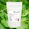 Spinach Leaf 550mg Vegan Capsules 