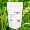 Wheatgrass Vegan Powder Superfood (Organic)