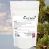 Pine Bark. 20:1 Extract, 95% Proanthocyanidins, 7,600mg V Capsules  