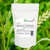 Wheatgrass (Organic) 500mg V Capsules