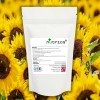 Sunflower Letcithin 300mg V Capsules