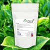 Green Tea 25:1 Extract Vegan Powder 95% Polyphenols 70% catechins 45% EGCG 