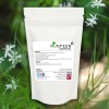 Shatavari Extract 5:1 Extract Vegan Powder