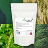 SuperGreens Detox Chlorella Spirulina Wheatgrass Barley Grass Vegan Powder    