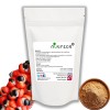 Guarana Seed Extract Powder 22% Caffeine 20:1