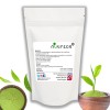 Matcha Green Tea Vegan Powder