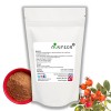 Rosehip Extract 50:1 Vegan Powder Natural Vitamin C
