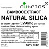 Bamboo Extract 75% Natural Silica, 5250mg V Capsules