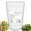 Kelp Seaweed Bladderwrack 700mg V Capsules