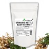 Stinging Nettle Root, 20:1 Extract, 12,000mg V Capsules