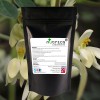 Moringa Oleifera Extract 16,000mg V Capsules