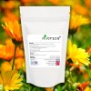 MARIGOLD Full Spectrum Calendula Flower 250mg X 90 Pure V Capsules