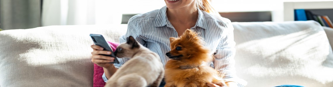 Unleash the Power of Pet Supplements: Enhancing Your Furry Friend's Health and Well-Being