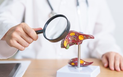 Navigating Liver Health: Understanding Common Issues and the Role of Supplements