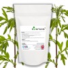Mugwort 300mg 90 Caps 100% Pure Artemisia vulgaria