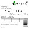 Sage Leaf 450mg V Capsules