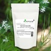 Shatavari Extract 5:1 Extract Vegan Powder